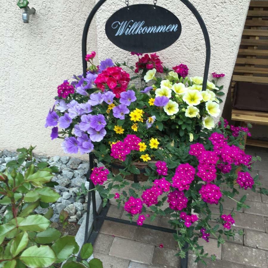 Hotel B&B Casa La Val Седрун Екстериор снимка